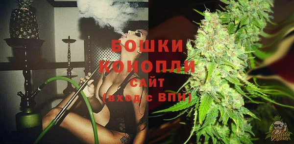 гидропоника Богданович