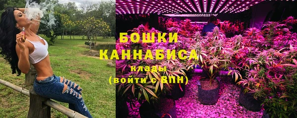 гидропоника Богданович