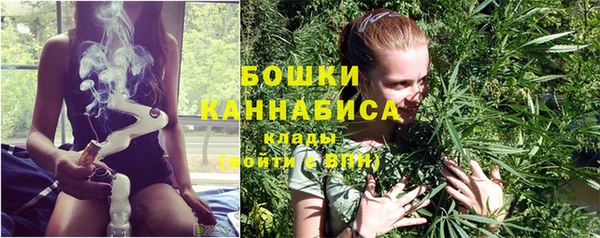 молекула духа Белокуриха