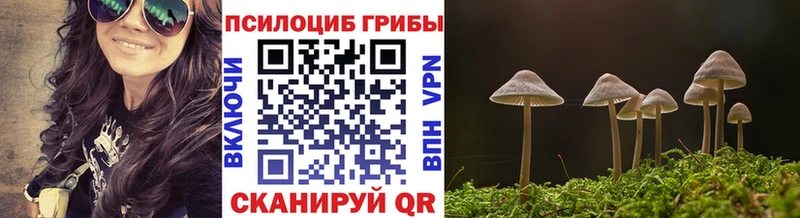 Галлюциногенные грибы MAGIC MUSHROOMS  Дмитров 